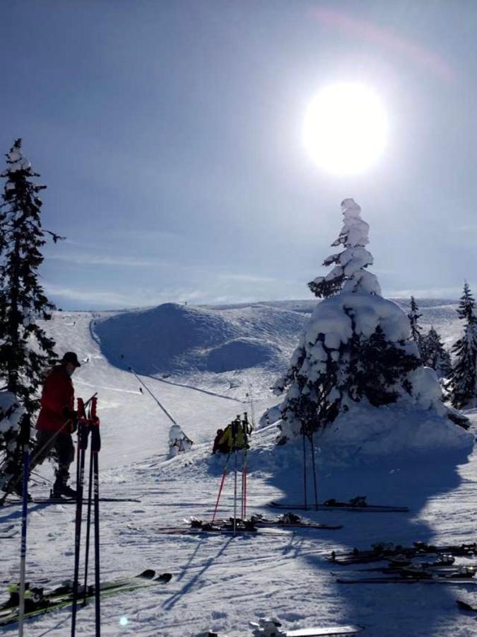 In The Middle Of Fjellet - Welcome Center - With 4 Bedrooms And Sauna - By Bike Arena And Lift Lejlighed